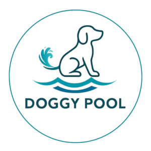 doggy pool la prima piscina per cani a milano